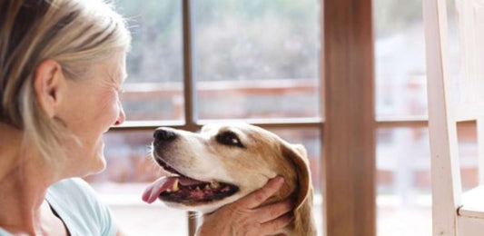 Buying a Pet Online? 5 Do's & Don'ts