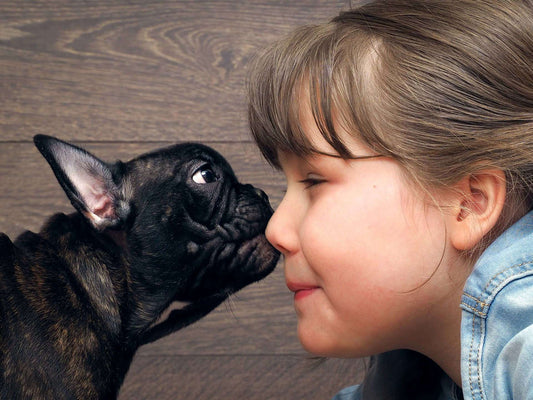 How to Live with Pet Allergies