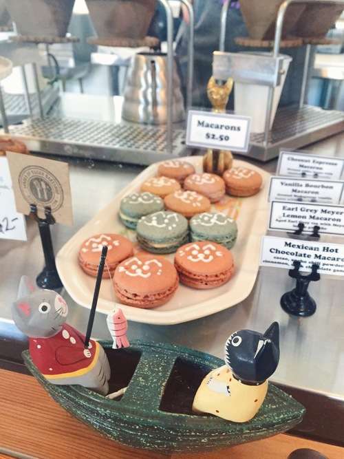 America Now has a Cat Café