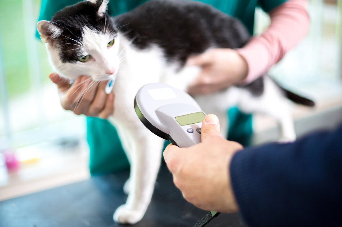 Check The Chip And Save Your Family | Vet Organics