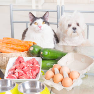 Pet Food Labels: Guide For Informed Dog Guardians (Part Three)