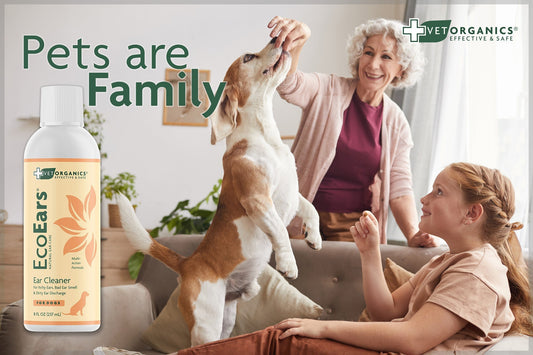Natural Pet Care Solutions with Vet Organics: EcoEars® and Beyond
