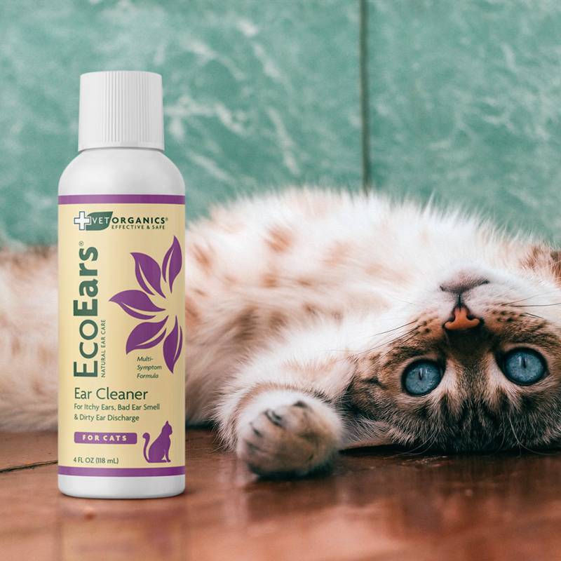 EcoEars Cat Ear Cleaner - Infection Formula, 4-oz bottle