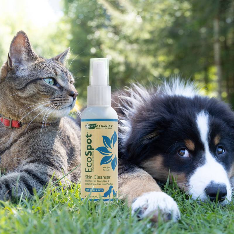 EcoSpot Hot Spot Spray for Dogs & Cats, 4-oz bottle