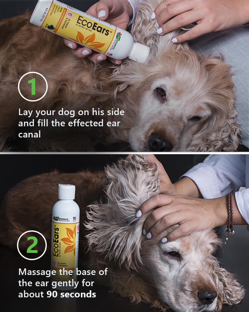 EcoEars Dog Ear Cleaner Image 16