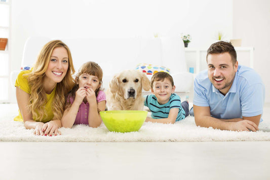 How To Keep Your Pet Out of Harm’s Way on Thanksgiving