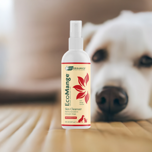 What is Mange and How Does it Affect Dogs?