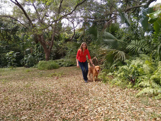 Dog Discipline for the Grown Dog