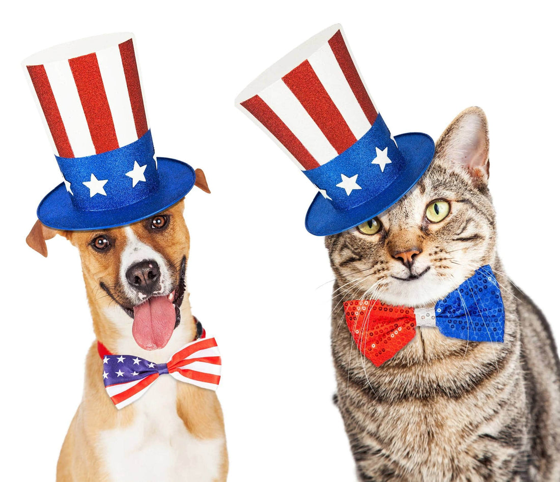 Fast Fourth of July Pet Safety Tips | Vet Organics