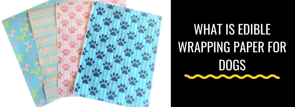 What Is Edible Wrapping Paper for Dogs and Why Is It Important?