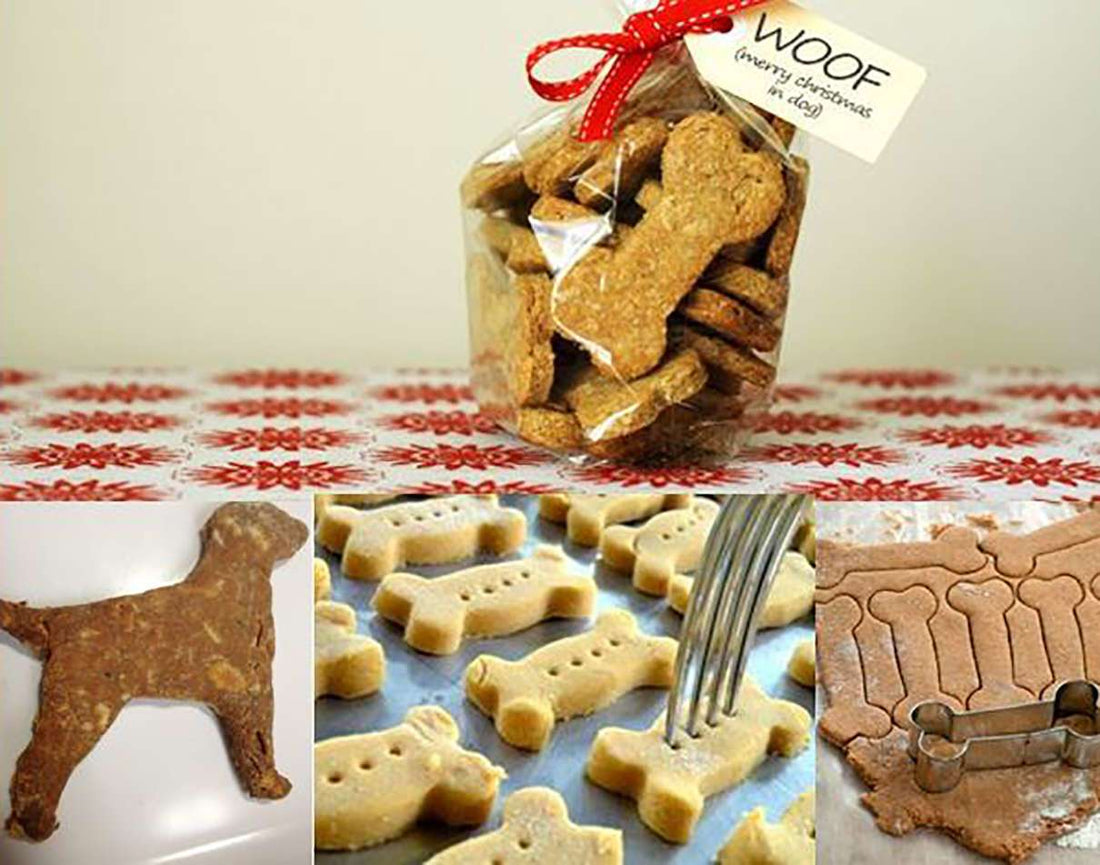 Homemade Dog Biscuits (& 3 Recipes)