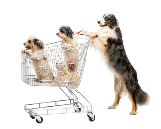 Dog-Friendly Retail Chains: Some May Surprise You | Vet Organics