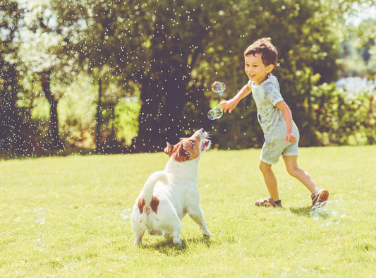 canine-fitness-vet-organics-ecotreats