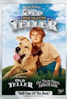 Great Dogs Movies to Watch