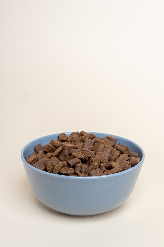 Homemade Dog Food vs. Kibble: What’s the Difference?