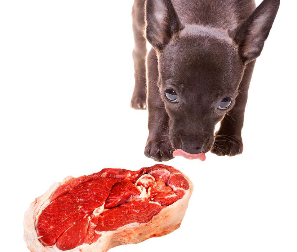 Raw Food Diets Might Be Riskier than You Think