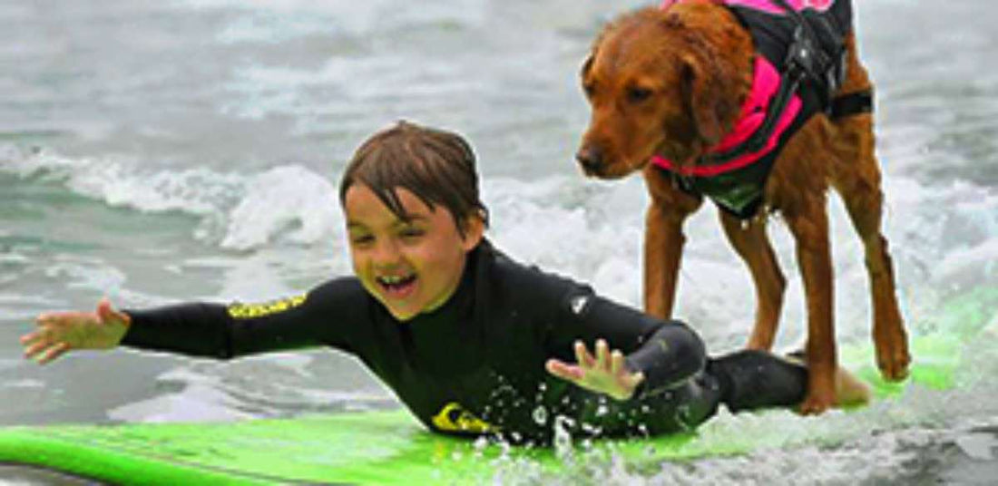 8 Dog-Friendly Cities for Active Dog Owners
