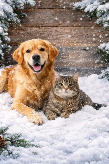 Winter Skin & Paw Care Naturally