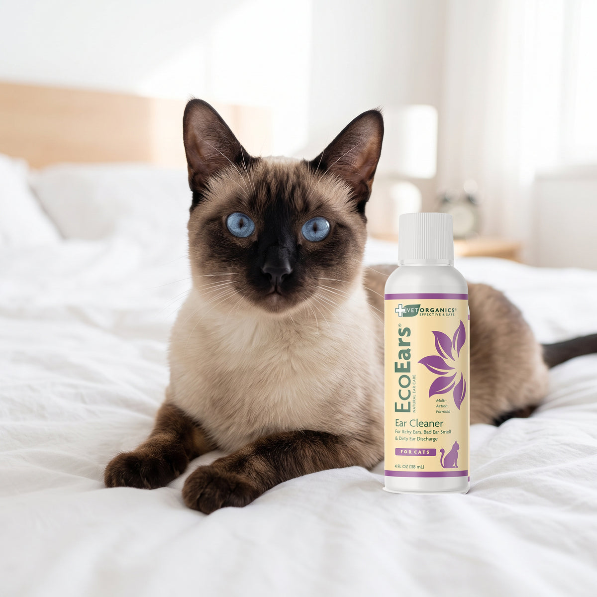 Siamese cat on a bed next to a bottle of EcoEars Cat Ear Cleaner