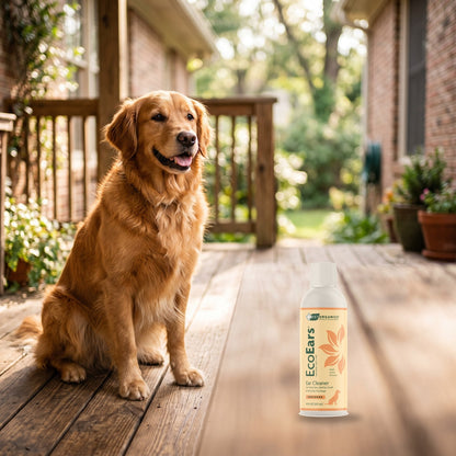 Golden retriever on a sunny porch beside EcoEars Dog Ear Cleaner 8 oz