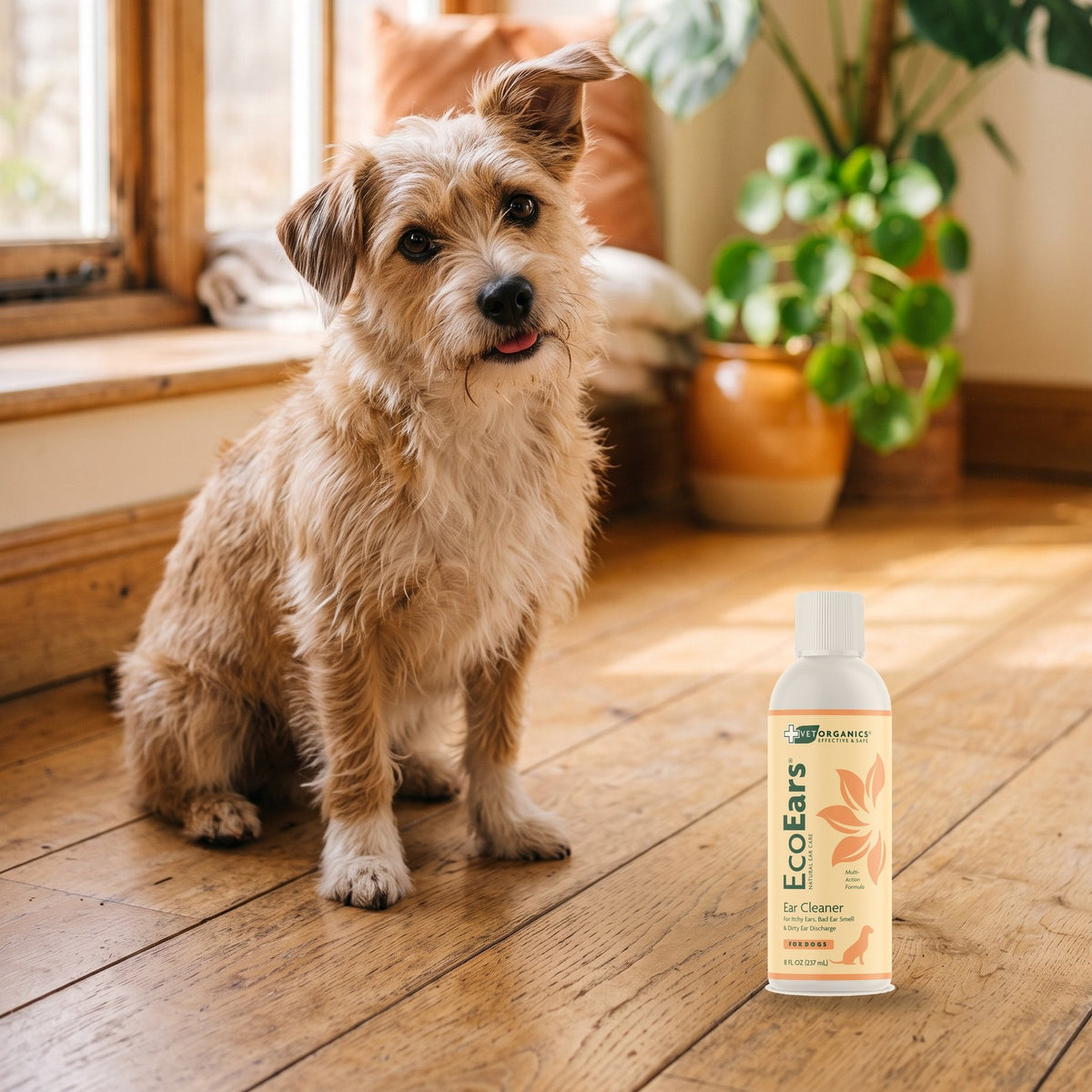 Cute scruffy mixed-breed dog with a tilted head beside a bottle of EcoEars Dog Ear Cleaner 8 oz