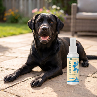 Black Labrador lying on a sunny patio next to EcoSpot hot spot spray, 4 oz