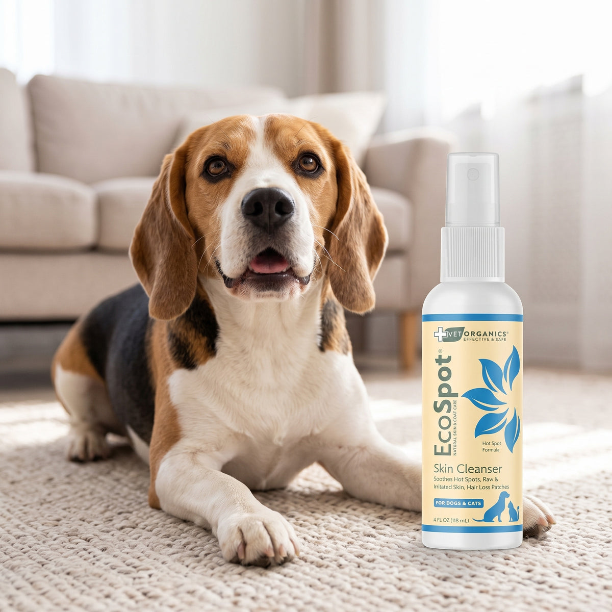 Beagle on a living room rug next to EcoSpot hot spot spray, 4 oz