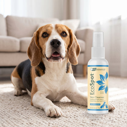 Beagle on a living room rug next to EcoSpot hot spot spray, 4 oz