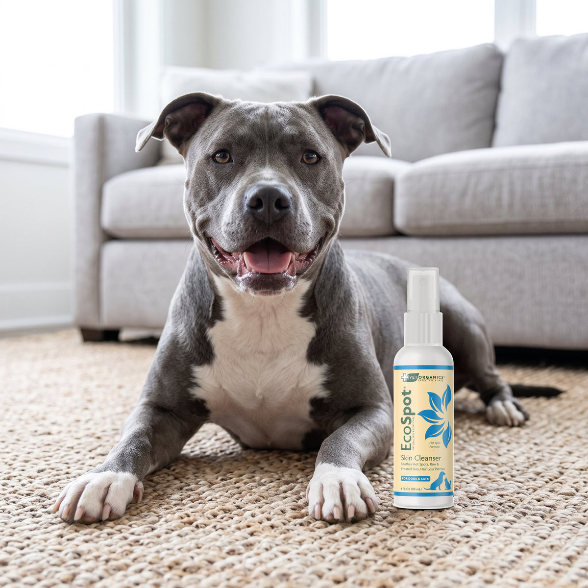 Pit bull mix lying on a living room rug next to EcoSpot hot spot spray, 4 oz
