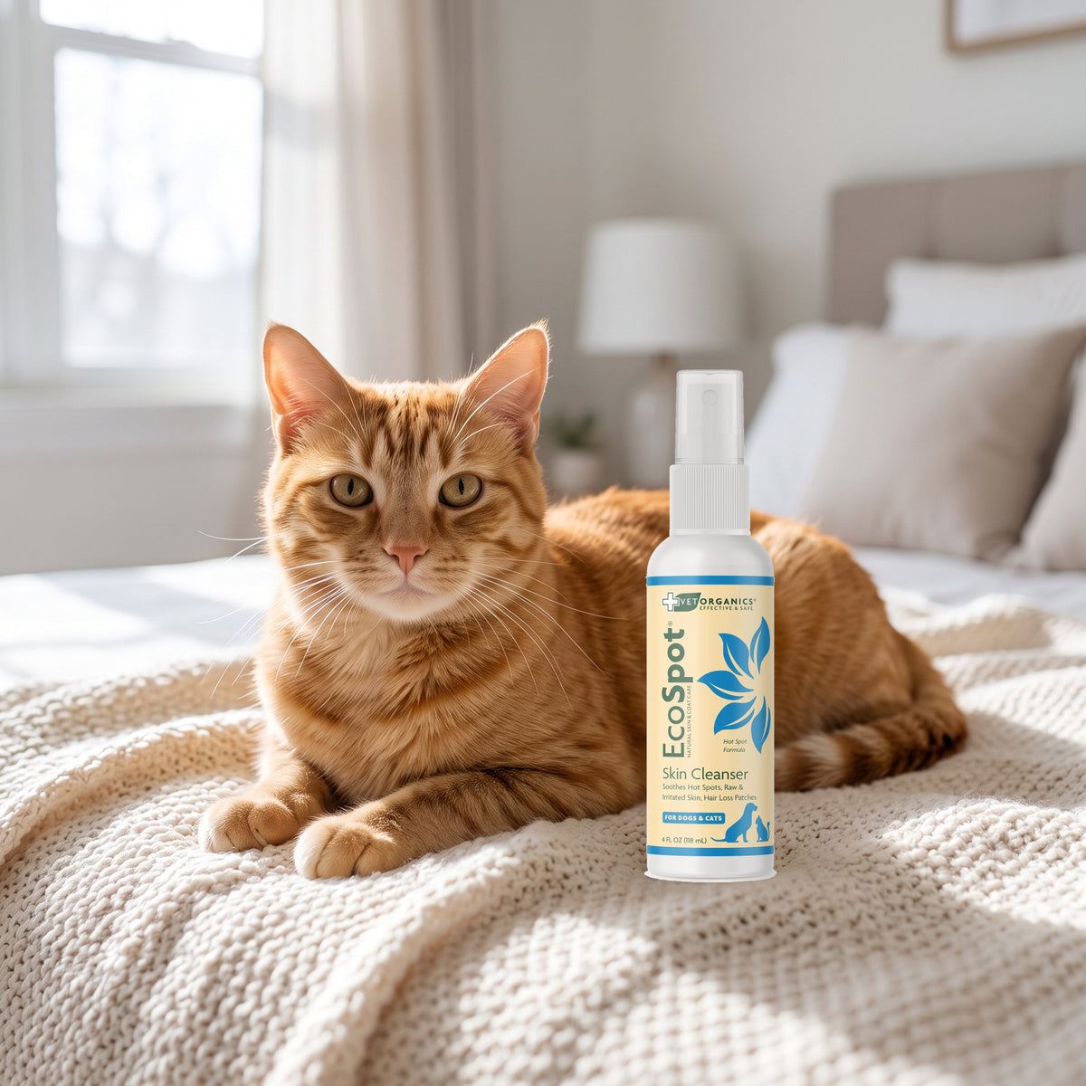 Orange tabby cat on a bed next to EcoSpot hot spot spray for dogs and cats, 4 oz