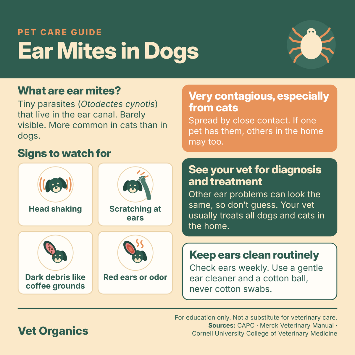 Ear mites in dogs: what they are, signs to watch for, see your vet, keep ears clean