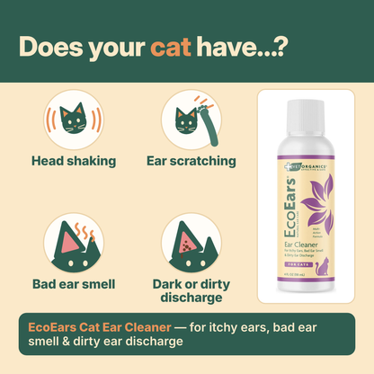 Does your cat have head shaking, ear scratching, bad ear smell or dark discharge? EcoEars Cat Ear Cleaner