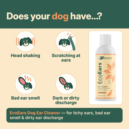 Does your dog have head shaking, scratching at ears, bad ear smell or dark discharge? EcoEars Dog Ear Cleaner
