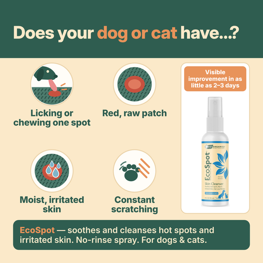 Does your dog or cat have a red, raw, moist spot from licking or chewing? EcoSpot hot spot spray