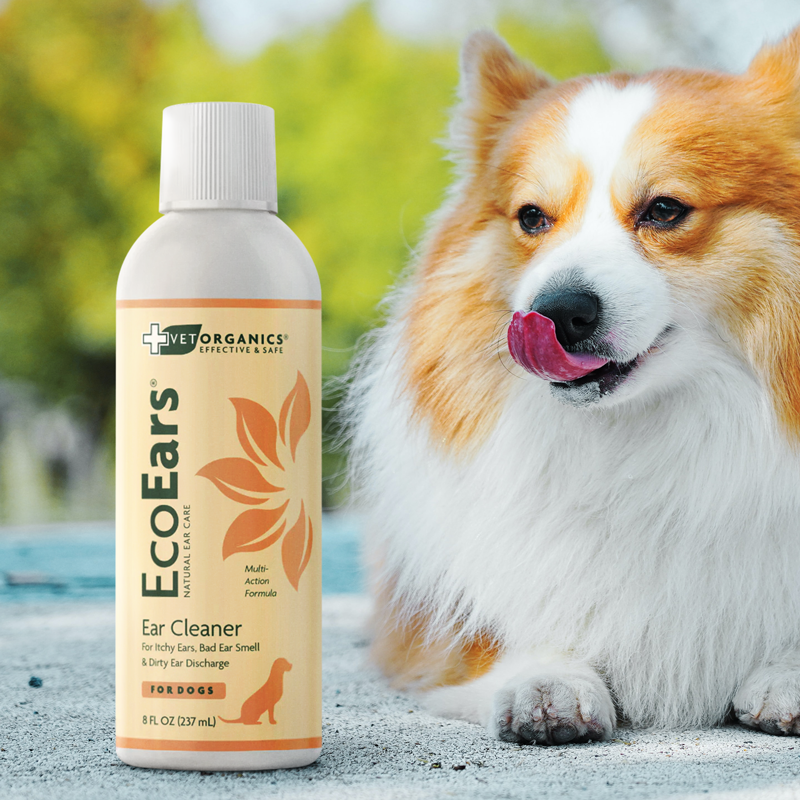 EcoEars Dog Ear Cleaner – Infection Formula, 4 or 8-oz bottle