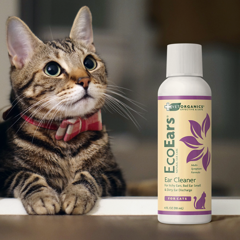 EcoEars Cat Ear Cleaner - Infection Formula, 4-oz bottle