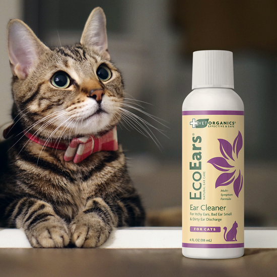 EcoEars Cat Ear Cleaner Infection Formula, 4oz bottle Vet Organics