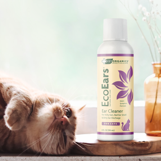 EcoEars Cat Ear Cleaner Infection Formula, 4oz bottle Vet Organics