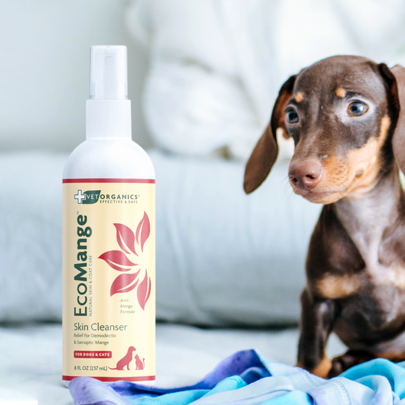 EcoMange Mange Treatment for Dogs Cats with Demodectic or